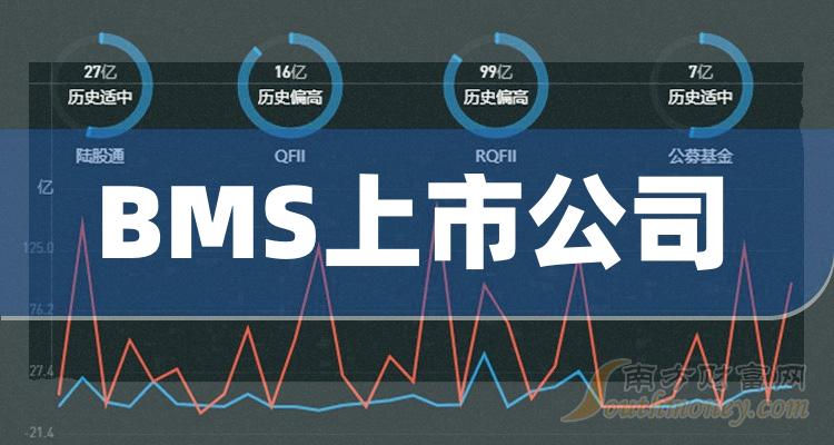 ��2023�ڶ�����BMS����Ӫ��������ǰ��20�����й�˾��